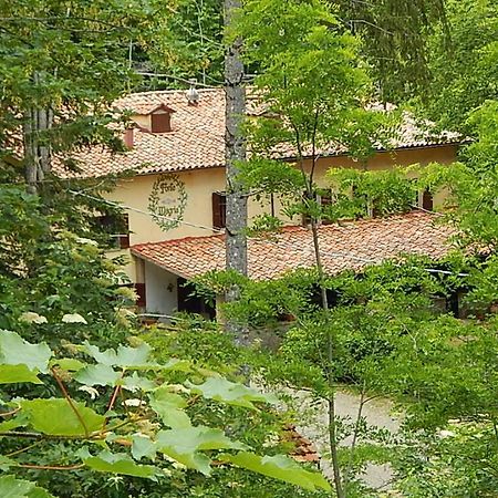 Agriturismo Fonte Magria Аббадиа Сан Сальваторе Экстерьер фото
